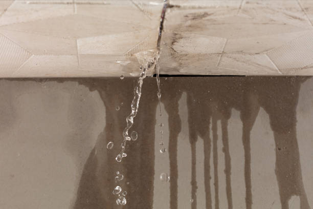 Professional Structural Drying technician working in Barberton, OH